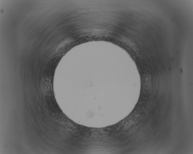 X0000073440918200608251637