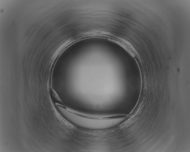 X0000073440946200608251637