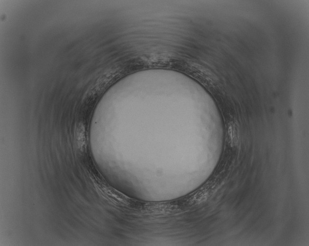 X0000073440963200608251636