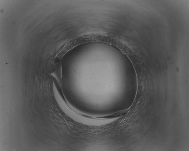 X0000073440965200608251636