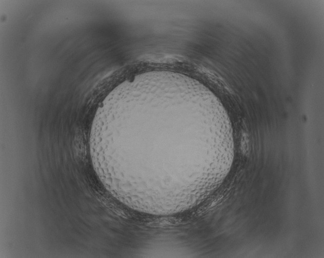 X0000073440966200608251636