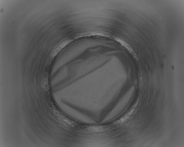 X0000073440977200608251636