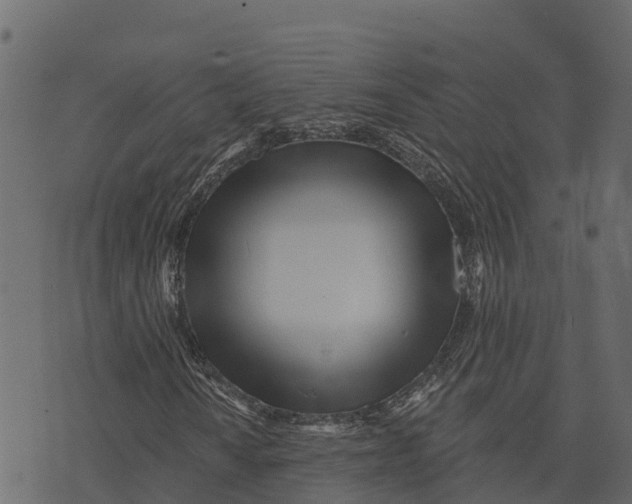 X0000073441010200608251635