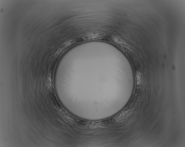 X0000073441011200608251635