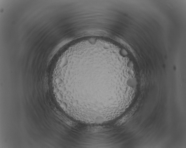 X0000073441019200608251635