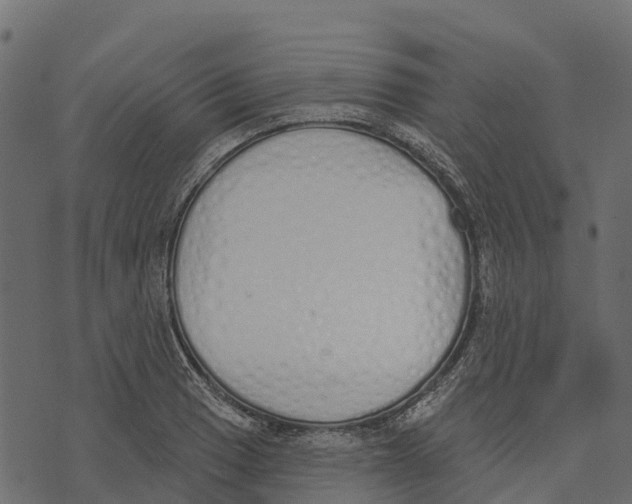 X0000073441033200608251635