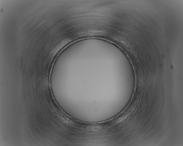 X0000073441073200608251635