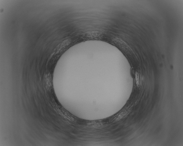X0000073441107200608251633
