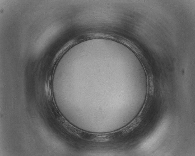 X0000073441198200608251633