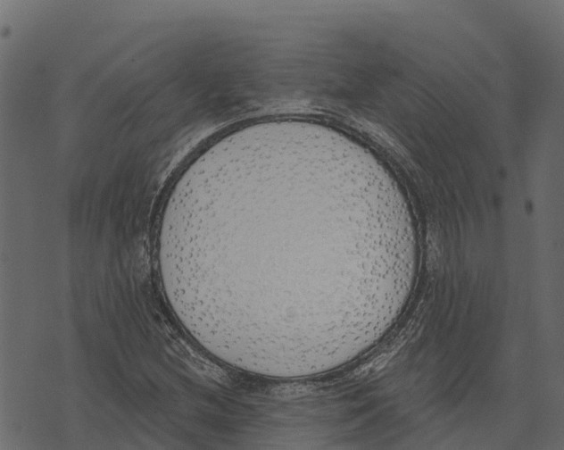 X0000073441212200608251632