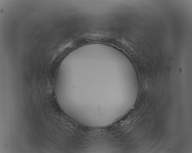 X0000073441253200608251632