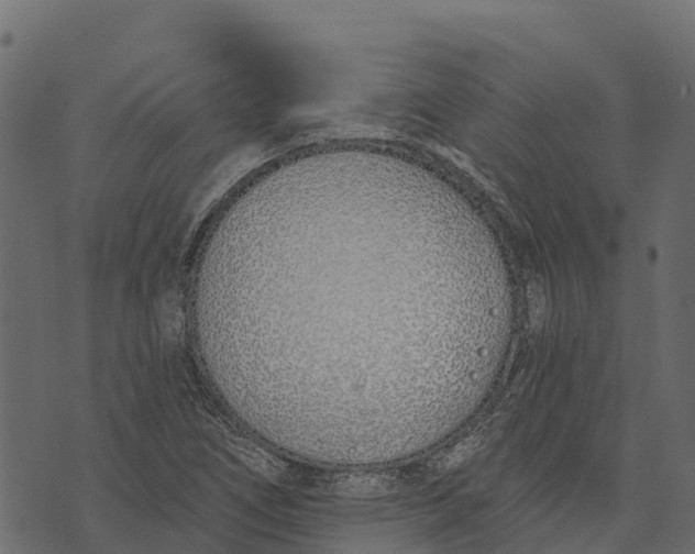 X0000073441266200608251632