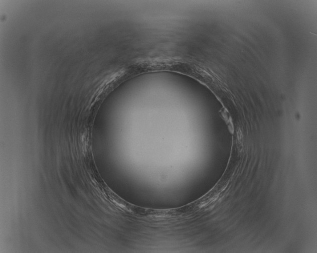 X0000073441300200608251630