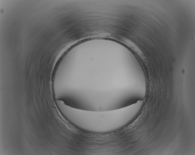 X0000073441332200608251631