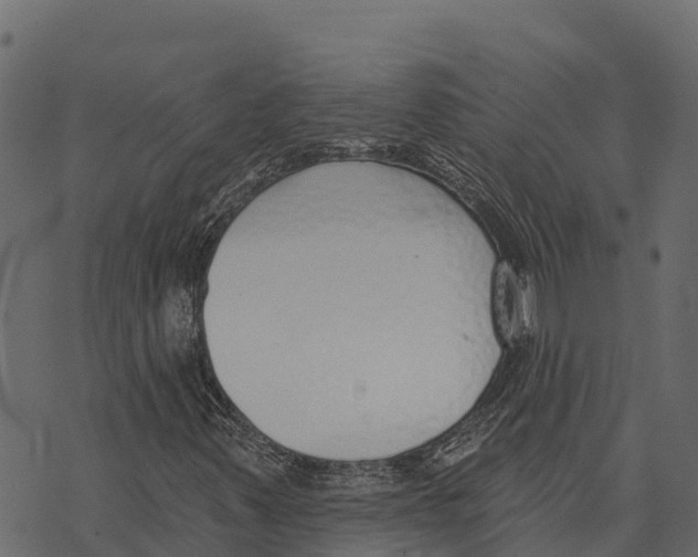 X0000073441347200608251630