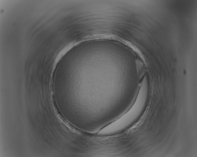 X0000073441373200608251630