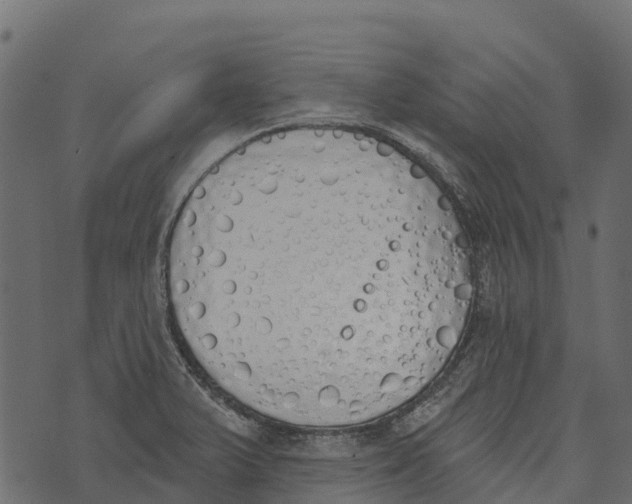 X0000073441375200608251630