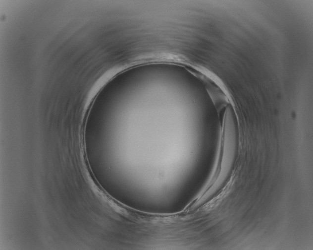 X0000073441389200608251629