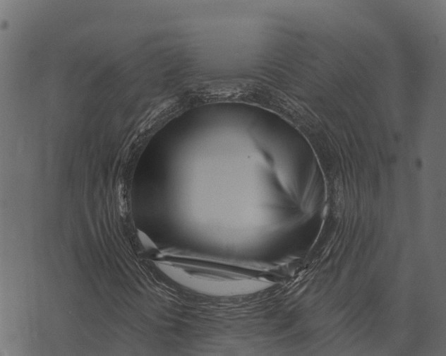 X0000073441394200608251629
