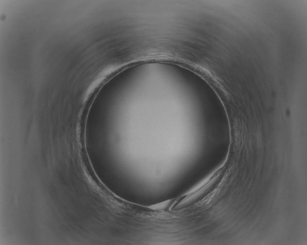 X0000073441422200608251629