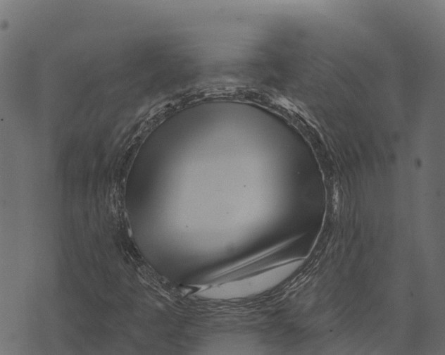 X0000073441445200608251629