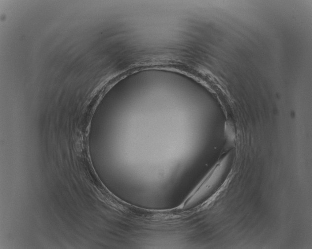X0000073441449200608251629