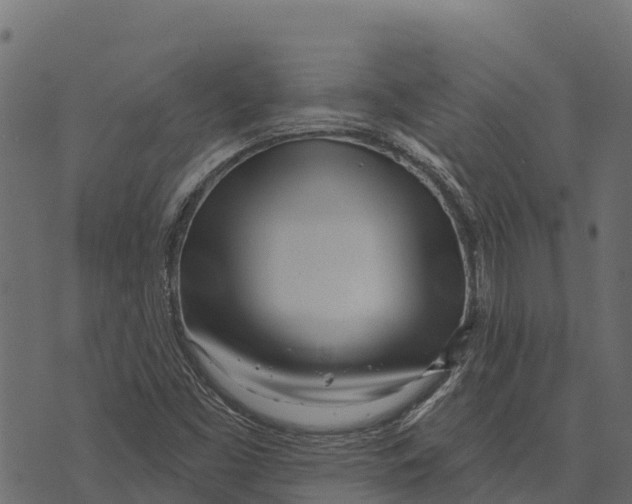 X0000073441453200608251628