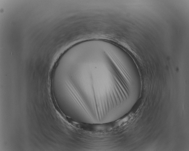 X0000073441508200608251627
