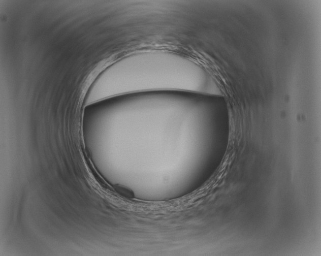 X0000073450003200607281018