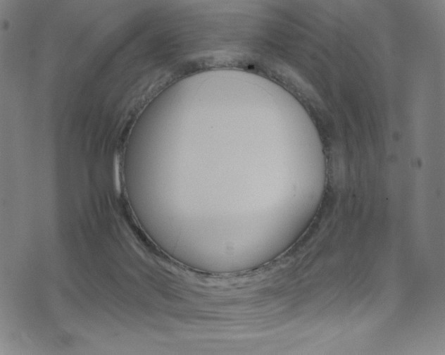 X0000073450022200607281017