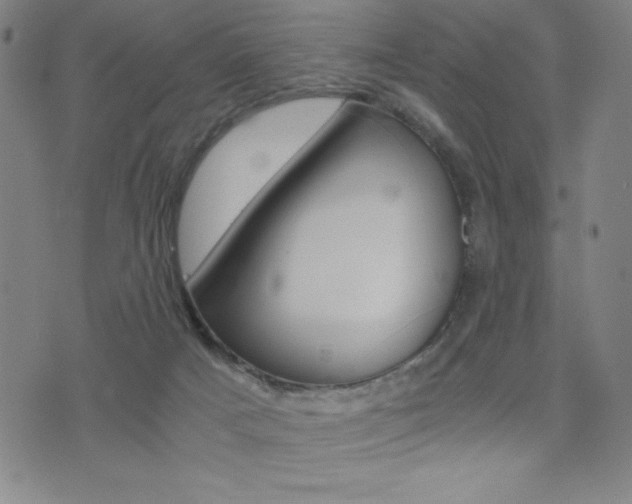 X0000073450025200607281017