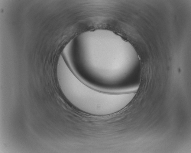 X0000073450039200607281017