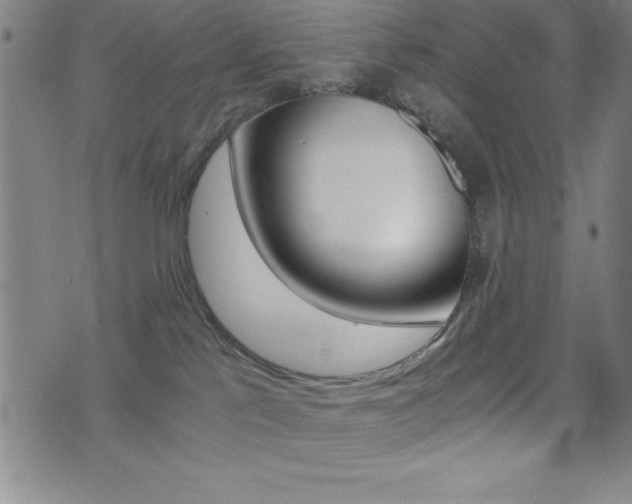 X0000073450041200607281017