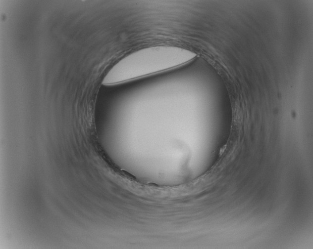 X0000073450043200607281017