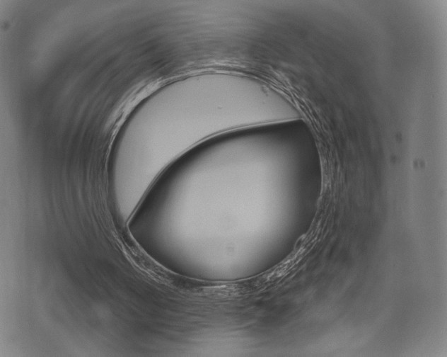 X0000073450050200607281016
