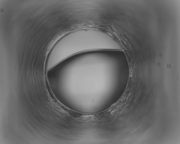 X0000073450052200607281016