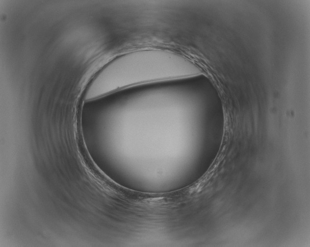X0000073450054200607281016
