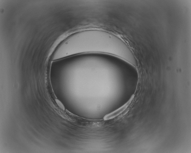 X0000073450056200607281016