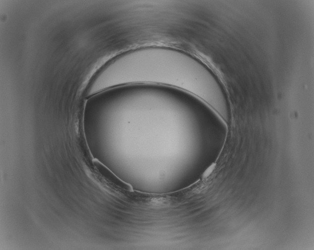 X0000073450060200607281016