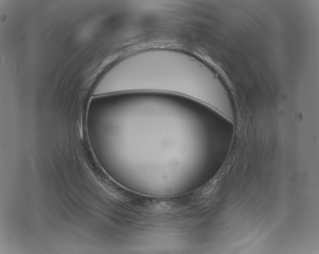 X0000073450062200607281016
