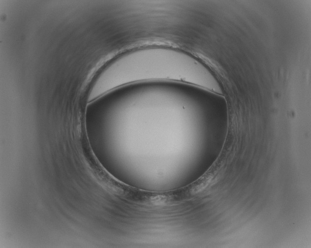 X0000073450064200607281017