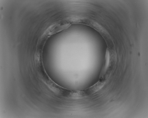 X0000073450072200607281017