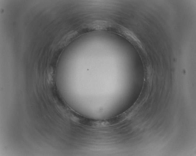 X0000073450073200607281017