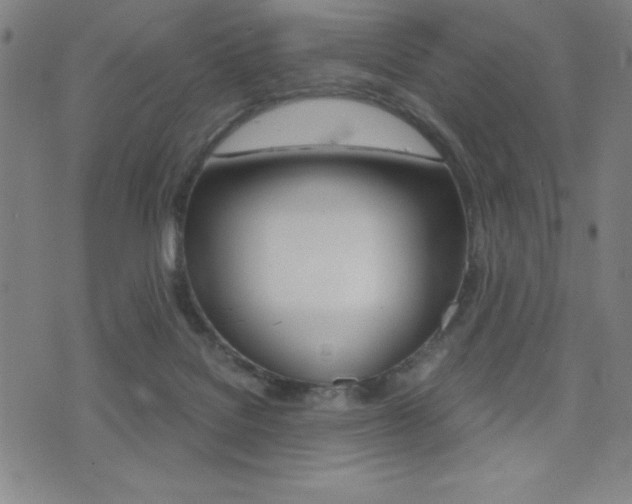 X0000073450076200607281017