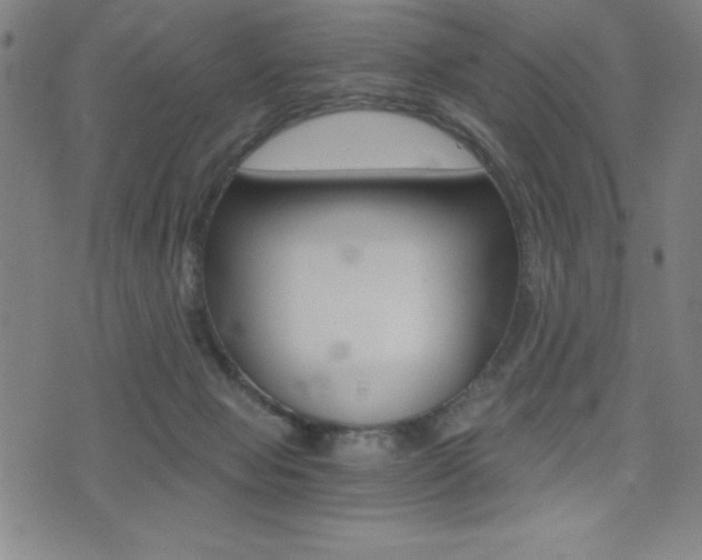 X0000073450077200607281017