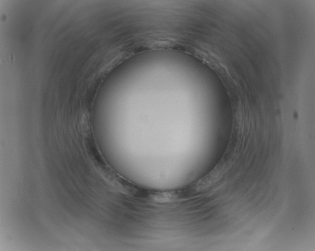 X0000073450079200607281017