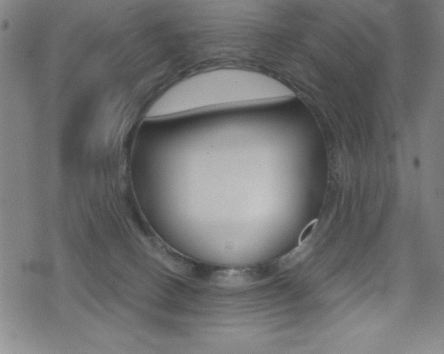 X0000073450082200607281017