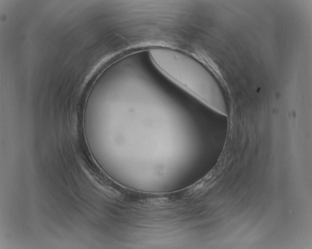 X0000073450108200607281016