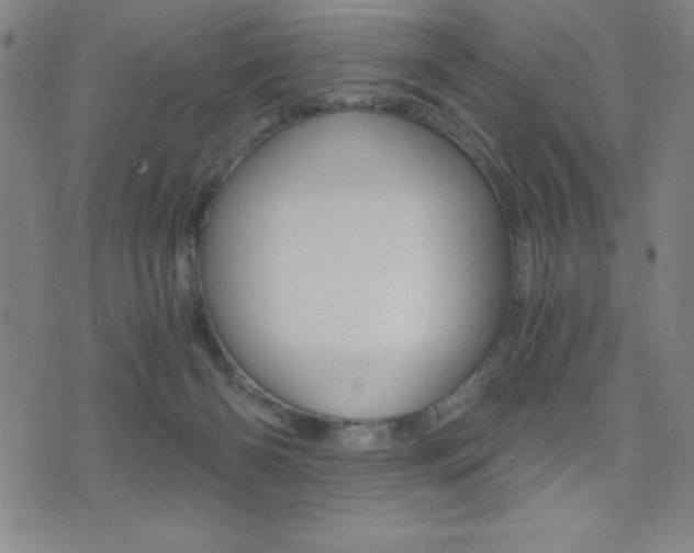X0000073450126200607281016