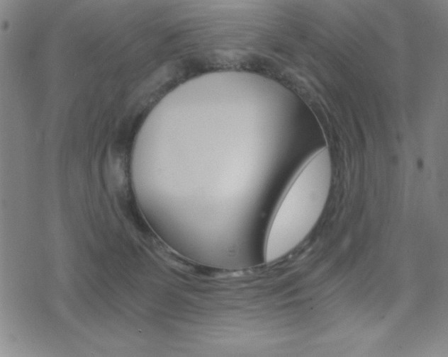 X0000073450131200607281016
